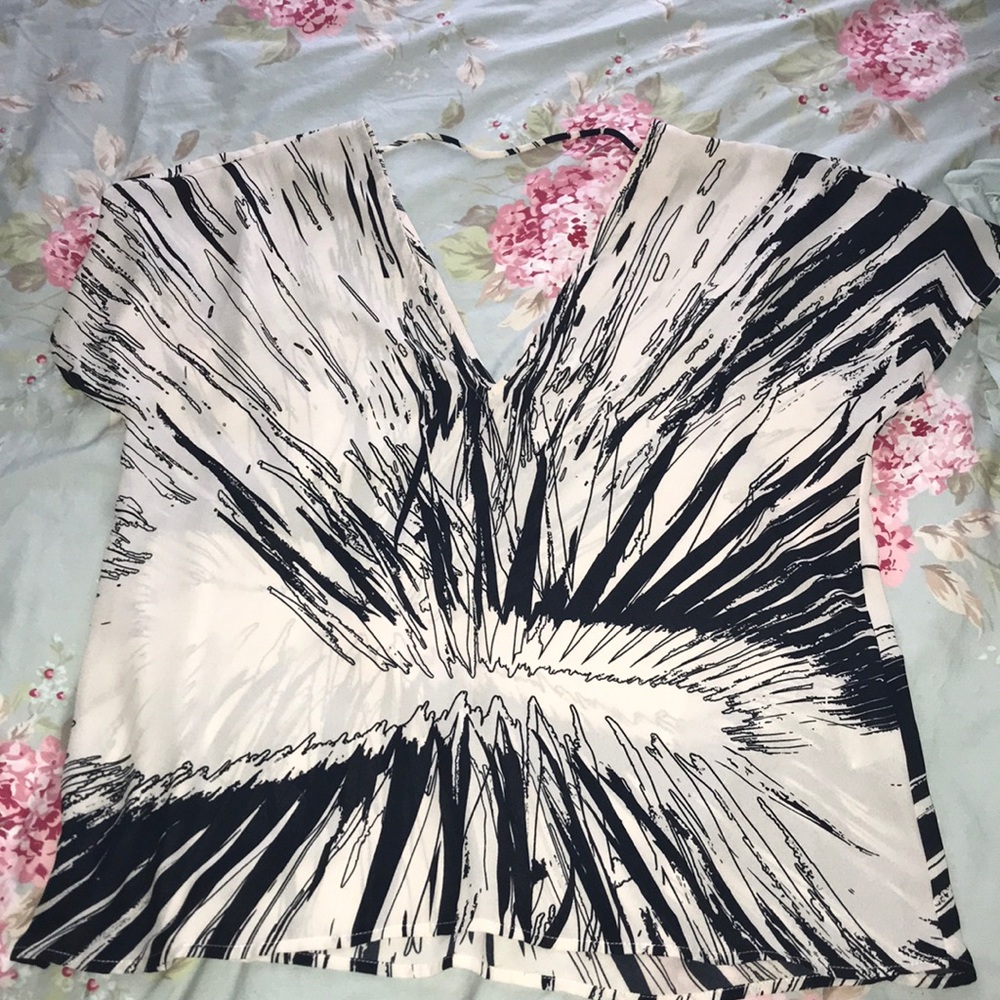 Bar III v neck blouse